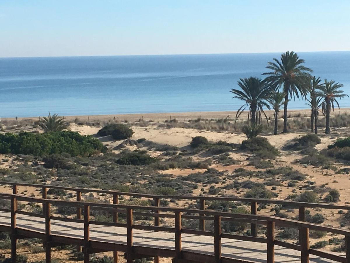 Luxury Appartement Alicante Los Arenales Del Sol, Near Beach, Large Solarium, Full Equipement Arenales del Sol Exterior foto
